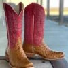 Horse Power Top Hand | Antique Saddle FQ Ostrich Boot -Western Cowboy Equipment Shop IMG 0828