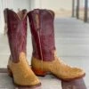 Fenoglio Boot Co. | Antique Saddle Full Quill Ostrich Boot 2 Fenoglio Boot Co. | Antique Saddle Full Quill Ostrich Boot -Western Cowboy Equipment Shop IMG 1466