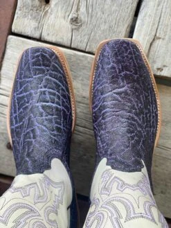 Fenoglio Boot Co. | Purple Elephant Boot -Western Cowboy Equipment Shop IMG 4699