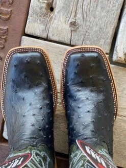 Horse Power Top Hand | Black FQ Ostrich Boot -Western Cowboy Equipment Shop IMG 5757