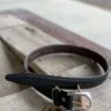 Vintage Bison | Black Pinnacle Belt 1 Vintage Bison | Black Pinnacle Belt -Western Cowboy Equipment Shop IMG 3652