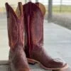 Anderson Bean | Kango Tobacco MD Smooth Quill Ostrich Boot -Western Cowboy Equipment Shop IMG 3983