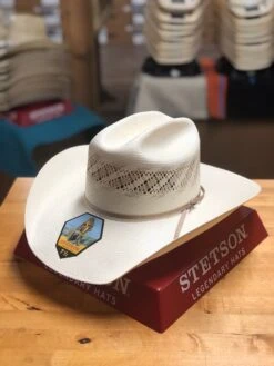 Stetson Thunder Straw Cowboy Hat