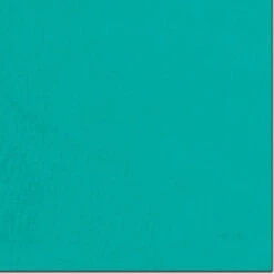 Wyoming Traders | Solid Wild Rag -Western Cowboy Equipment Shop S Emerald