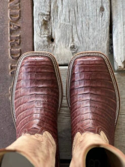 Anderson Bean | Tobacco Caiman Belly Boot -Western Cowboy Equipment Shop UNADJUSTEDNONRAW thumb 5e