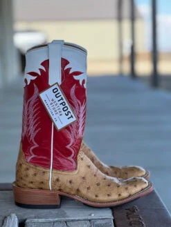Rios Of Mercedes | Umber Bruciato Full Quill Ostrich Boot -Western Cowboy Equipment Shop UNADJUSTEDNONRAW thumb 77 c58ed931 7d3e 431d 81d1 b06ac4dc7005